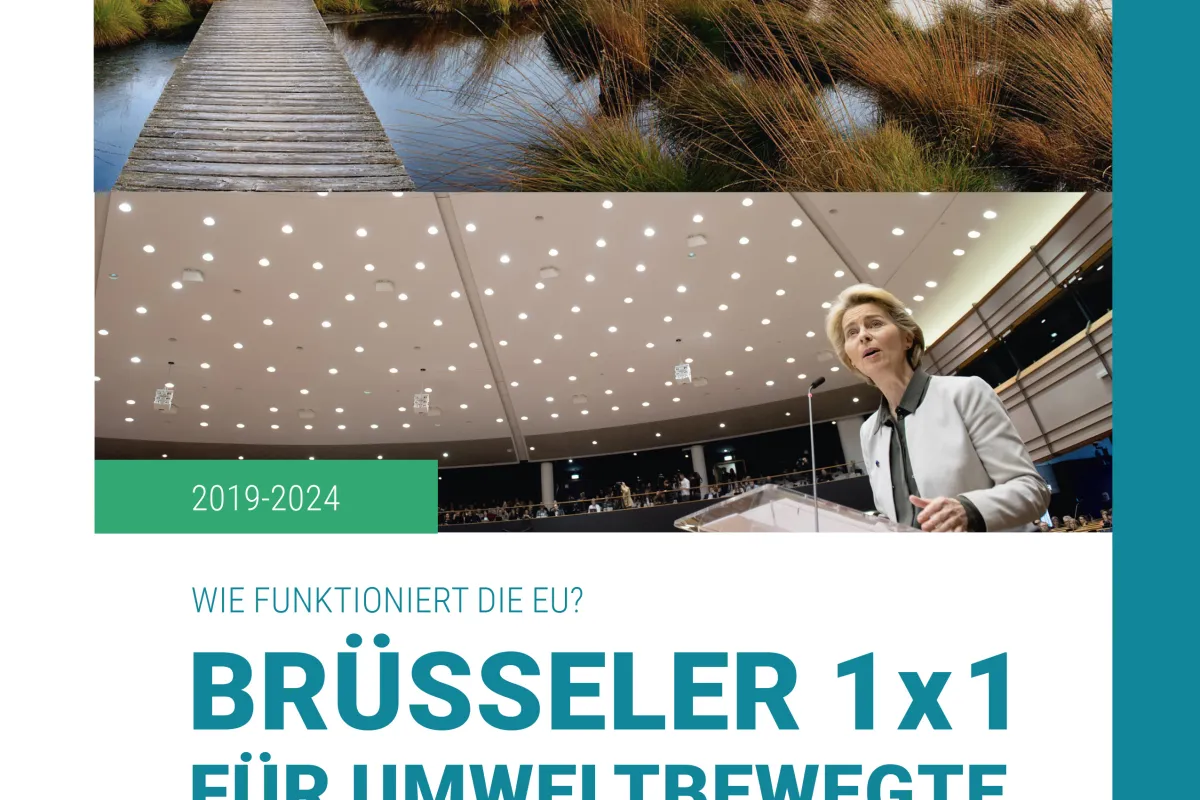 DNR_Bruesseler_1x1_Titelblatt